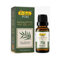 Eucalyptus Oil - Refresh Oil